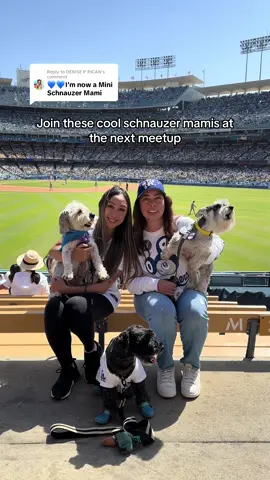 Replying to @DENISE P RICAN  There’s hundreds of cool schnauzer moms and dads so come meet them next time. 😉 #losangeles #meetup #schnauzer #dogmom #doglover 