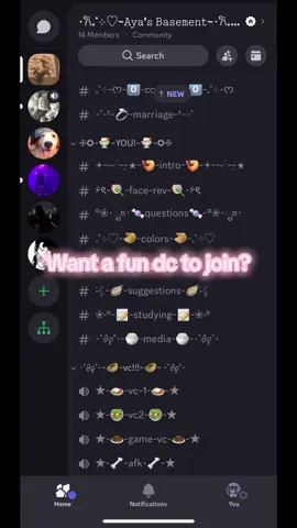 The link is updated!  #fyp #fyoupage #viral #xyzbca #fypシ゚viral #discord #server #linkinbio #fun 