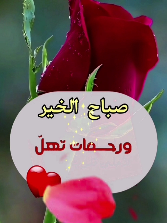 #دعاء_الصباح #صباحكم_معطر_بذكر_الله #صباح_الخير #دعاء #يوم #الاثنين #اللهم_امين #ستوريات #حالات_واتس #foryoupage #fypシ゚ #ArabTikTok #g @Symba 