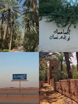 الحسا حساك لو الدهر نساك 🥹🌷