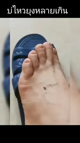 บ่ไหวยุงหลายเกิน#สตอรี่หน้าฝน 