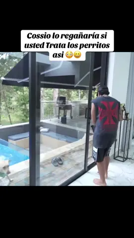 #mrstiventc #juanferlamata #perros 