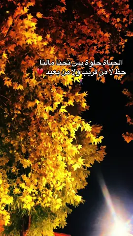 الحياة حلوة بس نحنا مالنا حظ لا من قريب ولا من بعيد 💔🚶‍♀️
