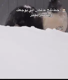 #explore #اكسبلور 