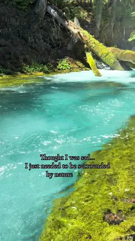 Nature heals the mind ✨🥰 #oregon #mckenzieriver #beautiful #natureheals 