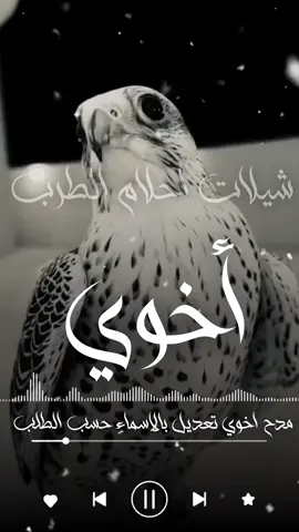 اخوي اذراعي الأيمن ونبراسي  شيله باسم اخوي جديد اخواني مطاليق الرجالي  شيله باسم اخواني جديد حبيب القلب سلطان حبيب الروح سلطان الدنيا كلها سلطان شيله بإسم سلطان جديد مرحبا يا نايف المطنوخ  شيله باسم نايف جديد ون ذكرت محمد المد المبنا  شيله باسم محمد جديد  اناامك الذي تفداك عيني  شيله باسم محمد جديد حبيب القلب محمد حبيب الروح محمد للدنيا كلها محمد شيله باسم محمد  حبيب القلب زياد حبيب الروح زياد   الدنيا كلها زياد شيله باسم زياد  حبيب القلب ناصر حبيب الروح ناصر  الدنيا كلها ناصر شيله باسم ناصر  مرحبا يا نايف المطنوخ  شيله باسم نايف جديد  #استديو_احلام_الطرب  #اكسبلوررررررررررررررررر  #الشعب_الصيني_ماله_حل😂😂 