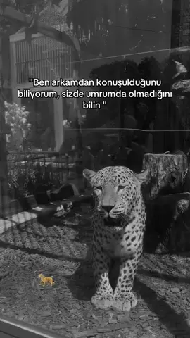 anlayana😉#foruyou #fou #kesfetbeniöneçıkart #sözlerdiyarı #sözler #keşfet #kesfetbenionecikar #kesfetteyiz #kesfetbeniöneçıkar #anlayana #kesfet 