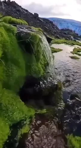 #قران #الفجر #ارح_قلبك_المتعب_قليلاً🤍💫 