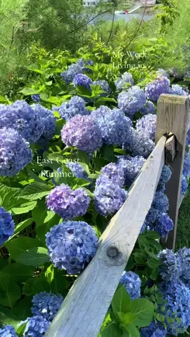 #connecticut #eastcoastsummer #newengland 