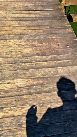 #paratiiiiiiiiiiiiiiiiiiiiiiiiiiiiiii #fyp #diversion 