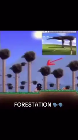 DAAYYYUUMMM 🗣️❤️ day 6.5 #meme #damnbird #DAMN #fyp #funny #shitpost #viral #terraria 
