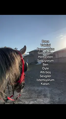 #fyppppppppppppppppppppppp #sözler #maşallah🧿 #keşfett #at #horse 