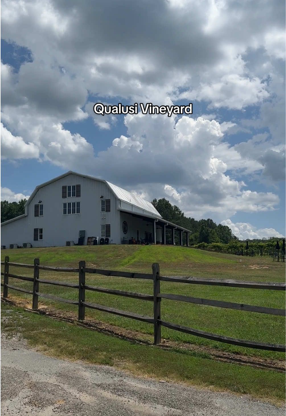 Sunday funday at Qualusi Vineyards in Georgia. #winery #fyp #georgia #thingstodoinatlanta #diml #vineyard #foryou #ga #atl #date #wine 