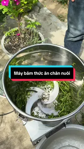 Máy băm thức ăn chăn nuôi gia súc gia cầm #tranhongstore #mayxayrau #mayxayraucu #mayxaythucanchannuoi #mayxayraumuong #mayxaycaychuoi 