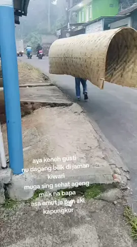 arja sari