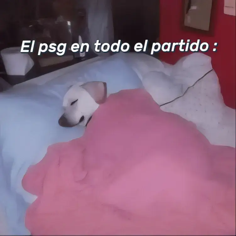 JAJAJ #humor #apoyo #paratiiiiiiiiiiiiiiiiiiiiiiiiiiiiiii #fyp #Viral #psg #mundialdeclubes #chelsea #futbol⚽️ 