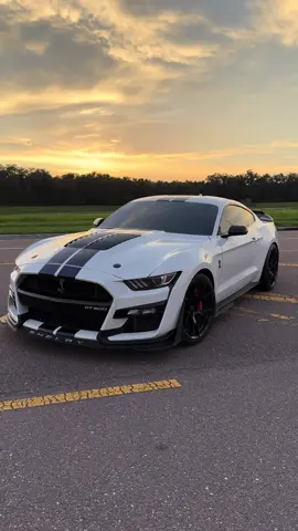 Too many posts?  #fyp #cars #gt500 #shelby #carsoftiktok #mustang #1000whp #viral #foryoupage #ford 