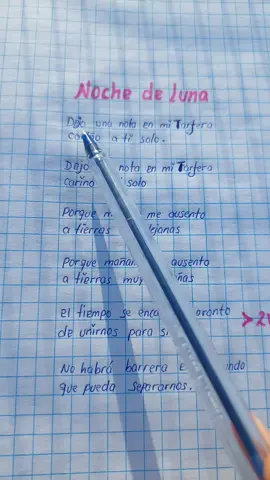 Noche de luna - Flor pucarina #florpucarina #letras #musicaconletra #letrasdecanciones 