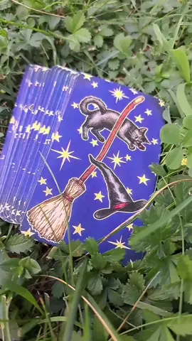 #freyatarot73 #amore #tarot #energie #perte 