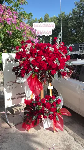 Tone đỏ khai trương rực rỡ 🥰🥰🥰#tiemhoaphanthiet #hoadep #hoadepphanthiet #shophoaphanthiet #chucmungsinhnhat #chucmungsinhnhat #hoakhaitruonghiendai #hoatuoiphanthiet #hoakhaitruongdep #hoatuoilamdong 
