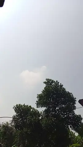 rumah ku surga ku