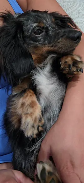 🐾💙😍😂#fyp 