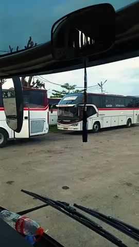 Ikut pemerintah pusat cenah lur 😅#CapCut #taatpemerintah #hanyaseorangsupir #sopirbus #primajasabus #primajasatasikbekasi #lewatberandakalian #fyp #fypシ゚ 