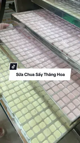 Xưởng sản xuất sữa chua sấy thăng hoa ở Đà Lạt. Sữa chua sấy Hương Xuân ở Đà Lạt. #banandalat #ancungtiktok 
