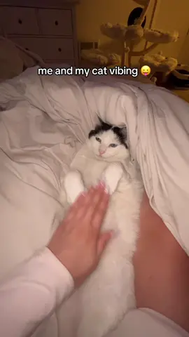 still my bestie #boba #catsoftiktok #chillcat 