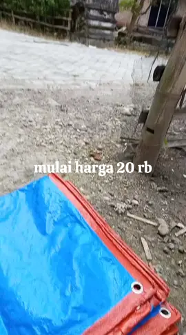 terpal plastik A5 biru oren 3x4 3x3 2x2 meter #terpal #terpalplastik #tiktokshopindonesia #fyp 