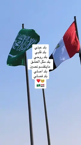 ماينشبع منكم ياأهل مصر 🥺  #مصر #مصر_السعوديه #ام_الدنيا  #fyp #cairo #اكسبلور 