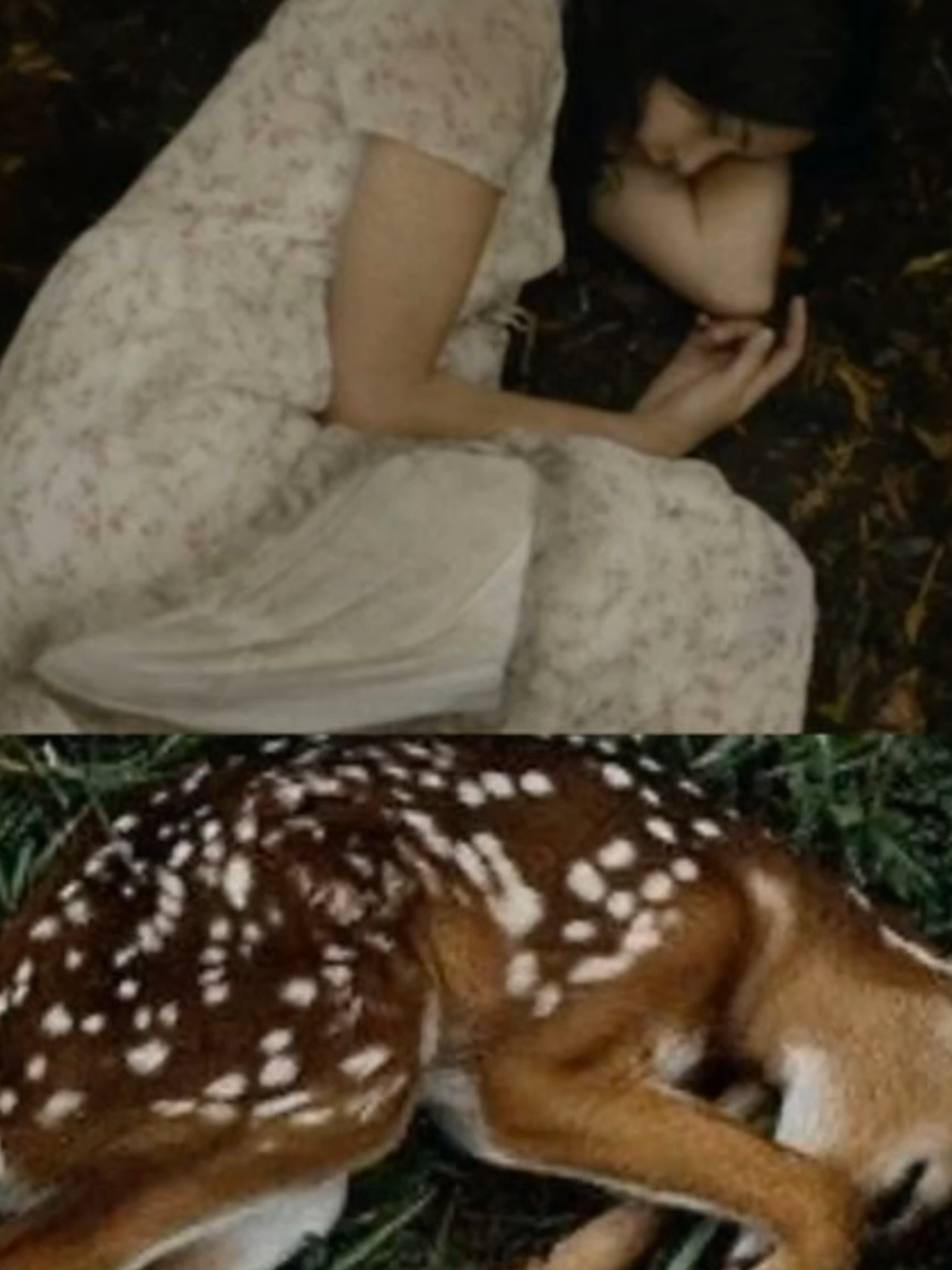 literally me #lottiematthews #willgraham #samwinchester #pinterest #fyp 