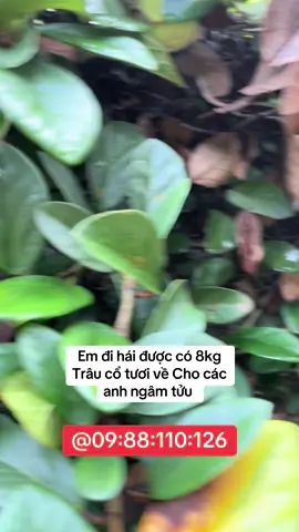 @09:88:110:126#bothantrangduong #xuhuong #danongdichthuc #xuhuongthinhhanh #namgioi 