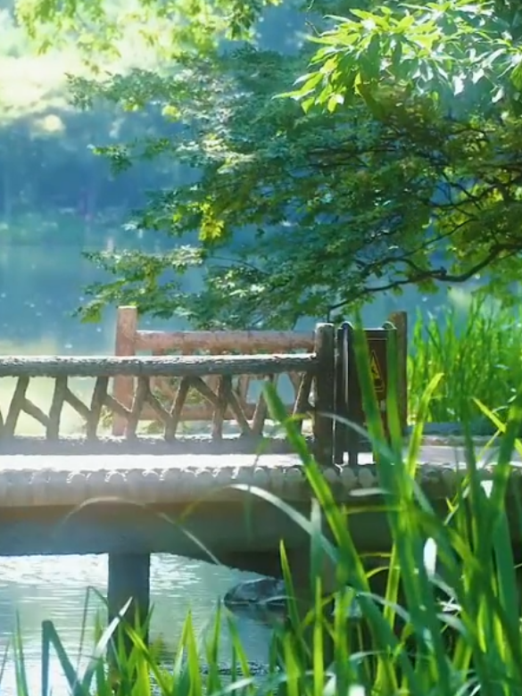 Có những ngày không cần phải vội. Chỉ cần lặng im, hít một hơi thật sâu, nhìn mây trôi, nghe gió khẽ lùa qua kẽ lá…là đã đủ dịu dàng với chính mình rồi.#thiennhien #chualanh #chill #thugian #phongcanh #binhyen 