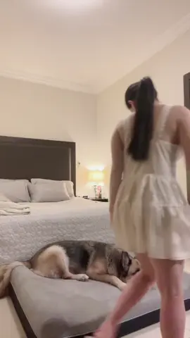 Xa thì nhớ mà gặp là bả chọc con