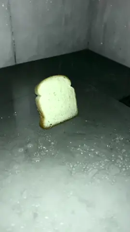 bread #bread 