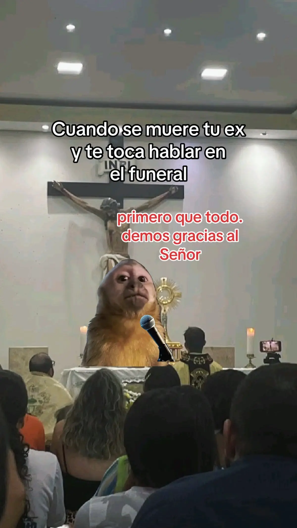 🤣🤣🤣🤣🤣🤣🤣