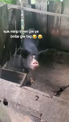 #moots? #4u #fyp #masukberanda #foryoupage #bismillahrame #xyzbca 