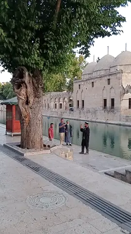 #viraltiktok #keşfet #keşfet #keşfet ##fypage 