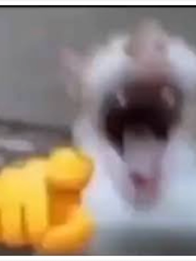 chúc mừng những ai xem đc video này #meme #funny #tonthoigian #xhuong #fyp #xh #viral 