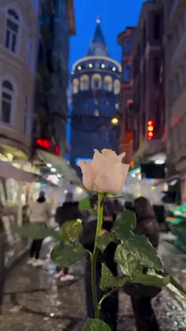 #لقدوقعت_في_النار #اغاني_تركية #تصميم_فيديوهات🎶🎤🎬 #اجواء_الشتاء #مجرد________ذووووووق🎶🎵 