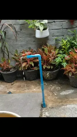 #fyp #viral #creatorsearchinsights 