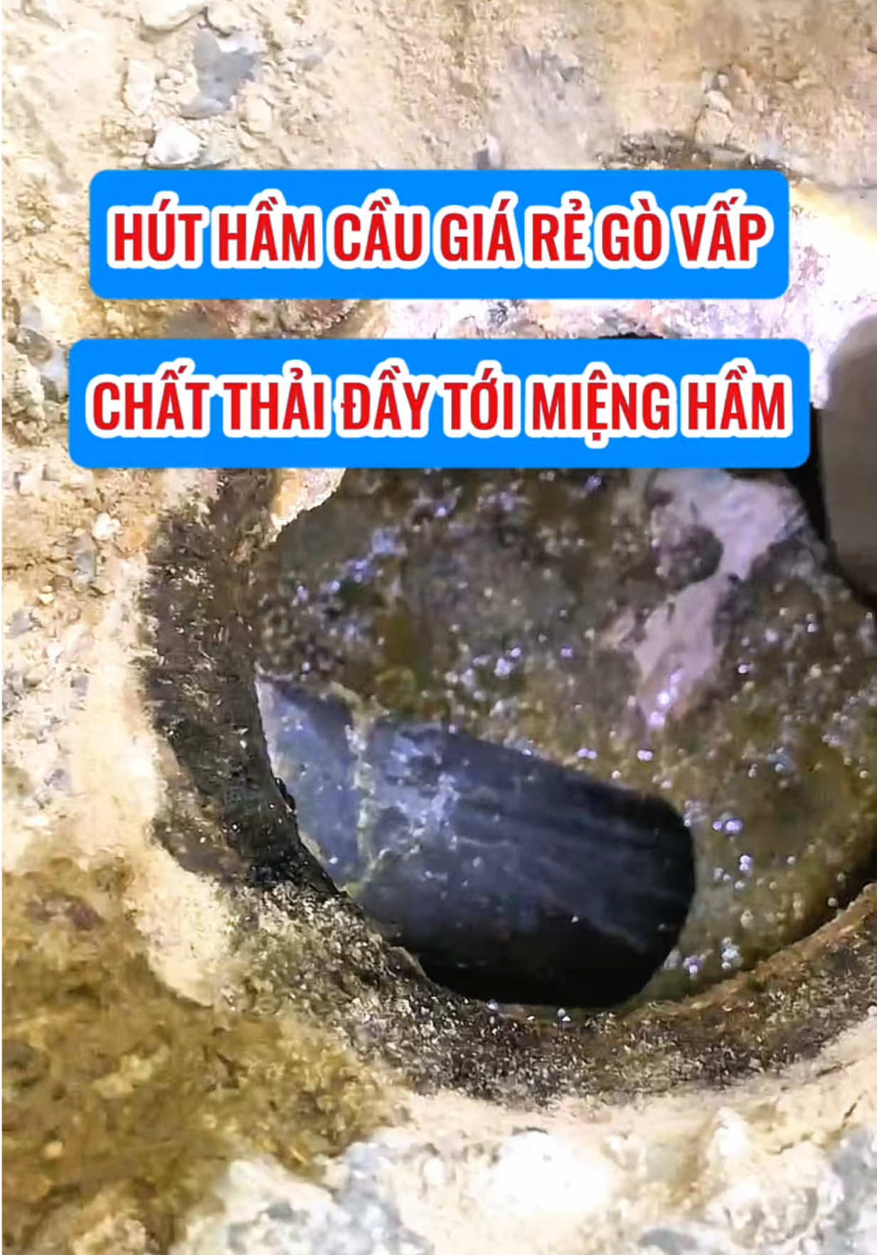 Hút Hầm Cầu Giá Rẻ Sạch Cạn Đáy Trọn Gói Cho Khách Tại Gò Vấp #huthamcau #ruthamcau #huthamcauquangthao #húthầmcầu #huthamcaugiare #thongboncau 