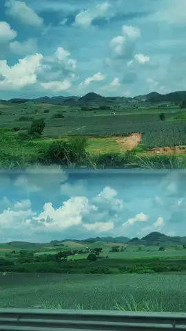 #dồidứatamđiệp #hè2025🌈🌼 