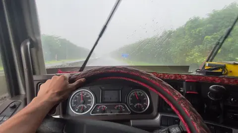 Đồng nai mưa quá #taixeduongdai #taixe #xetai 