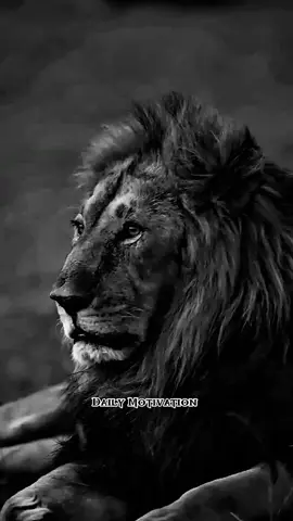 motivational speech | motivational quotes  #motivationalspeech #emotional #motivation 