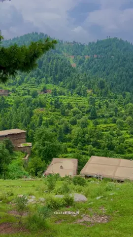 Kele Aw bandhy | Tirah valley ⛰️ 🌸   #tirahvalley #explore #foryoupage #typ #watan #naturevibes #unfrezzmyaccount #viralvideo #shahab_afridi313 