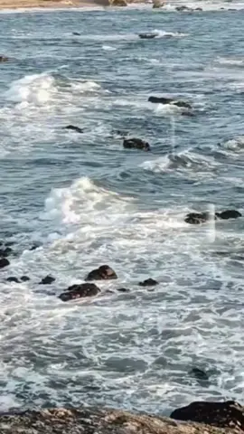 أَسْتَغْفِرُ‌ اللّٰه‌  سُبْحَانَ اللّٰه‌‎  الْحَمْدُ‌ لِلّٰه‌  لَاْ ‌إِلٰهَ ‌إِلَّاْ‌ اللّٰه‌  اللّٰهُ‌ ‌أَكْبَر  ‌‌لَا‌‌ حَوْلَ‌‌ وَ ‌‌لَا ‌قُوَّةَ‌‌ ‌إلَّا‌‌ ‌بِاَللَّهِ‌‌ الْعَلِيِّ‌‌ الْعَظِيمِ‌‌ #foryoupage #foryou #fyp #viralditiktok 