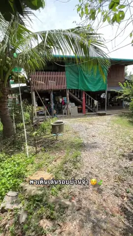 ร้านมาก 😄 #บ้านนอก #บ้านนอกคอกนา #บ้านนอกของฉัน #สิงห์บุรี #ต่างจังหวัด #กลับบ้านเรา #บรรยากาศชิวๆ #บ้านฉัน 