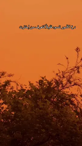 لتعرف من اخترت 👌#تصوير #تصاميم #اكسبلور #ايفون11 #اقتباسات #تصويري📷 